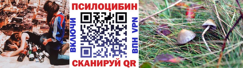 Псилоцибиновые грибы Cubensis  нарко площадка официальный сайт  Топки 