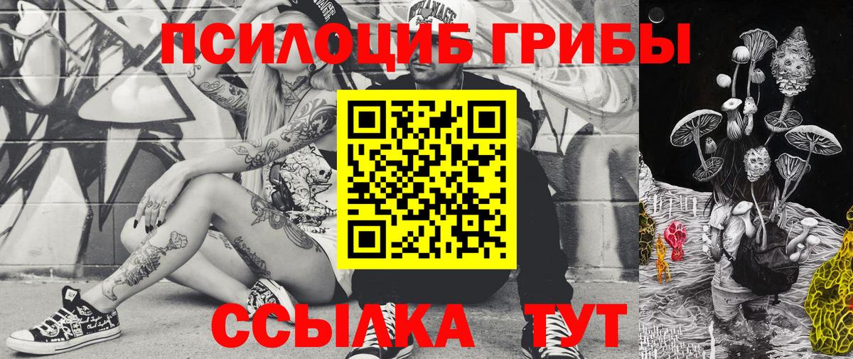 Псилоцибиновые грибы Psilocybine cubensis  Вход с VPN  Топки 