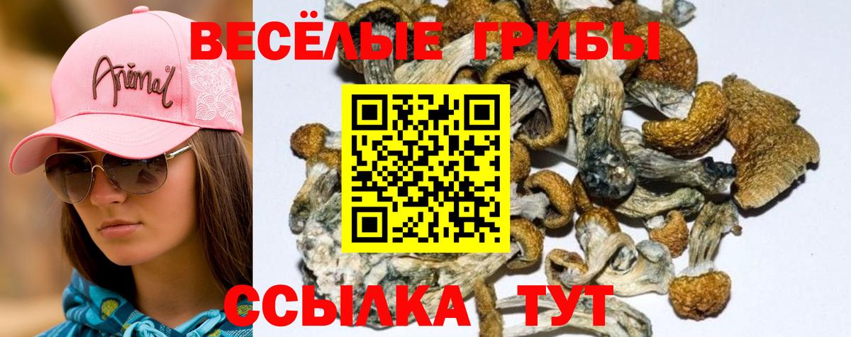 МЕФ  ЭКСТАЗИ  МЕФ кристаллы  COCAIN  Гашиш  Топки  Каннабис  Вход с VPN 