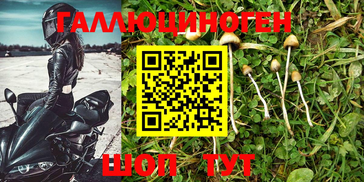 Галлюциногенные грибы MAGIC MUSHROOMS Топки