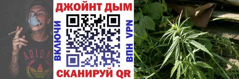 Бошки Шишки Amnesia  цена   Топки 