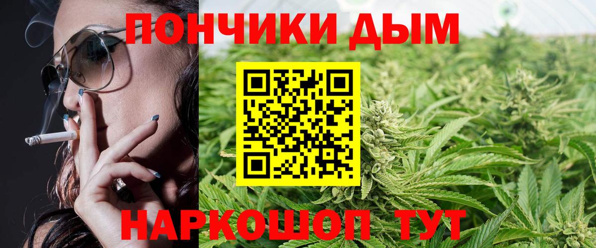 Бошки Шишки OG Kush  Конопля семена  Топки  Бошки марихуана индика 